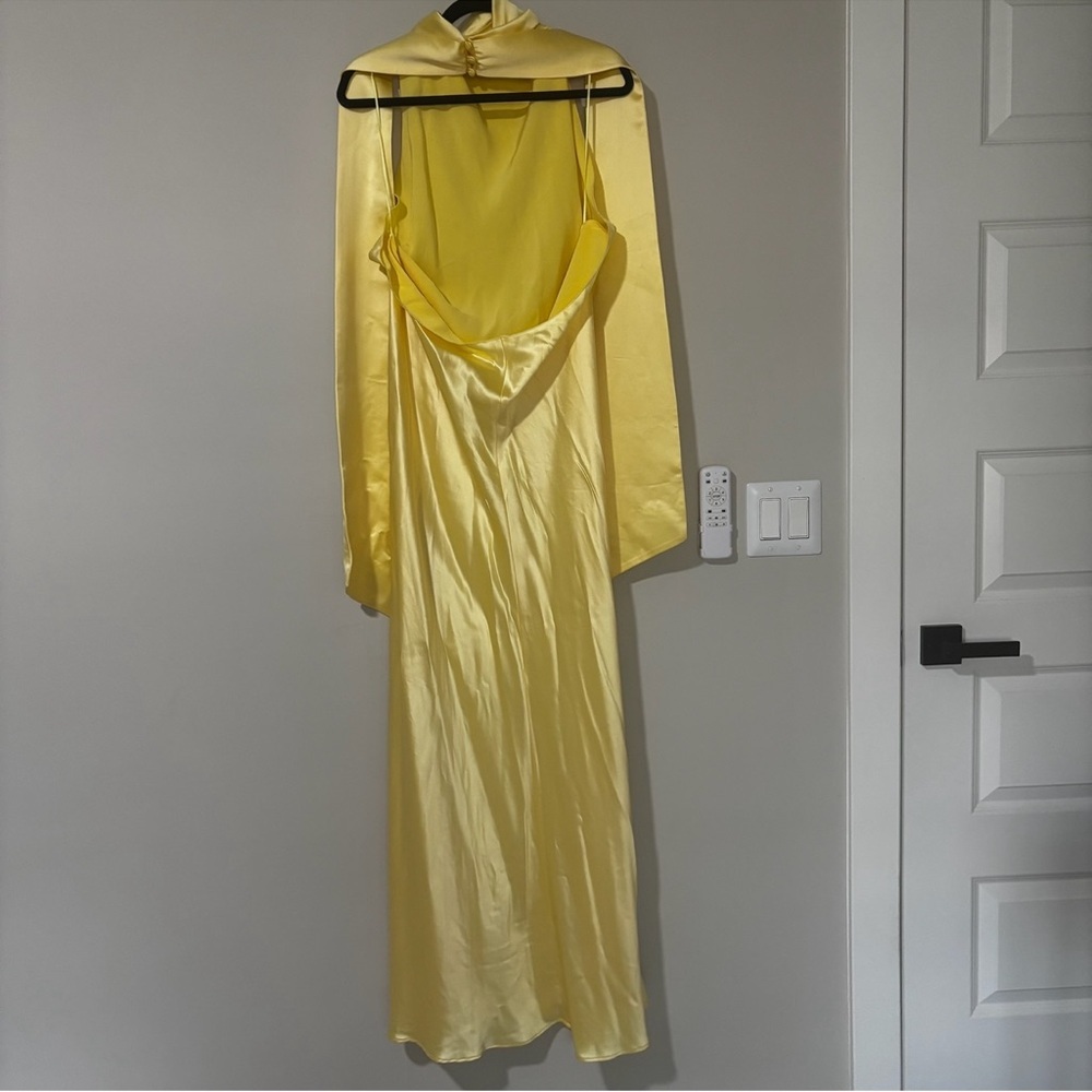 Sau Lee PENELOPE BACKLESS SATIN GOWN Size 14 - Picture 9 of 10